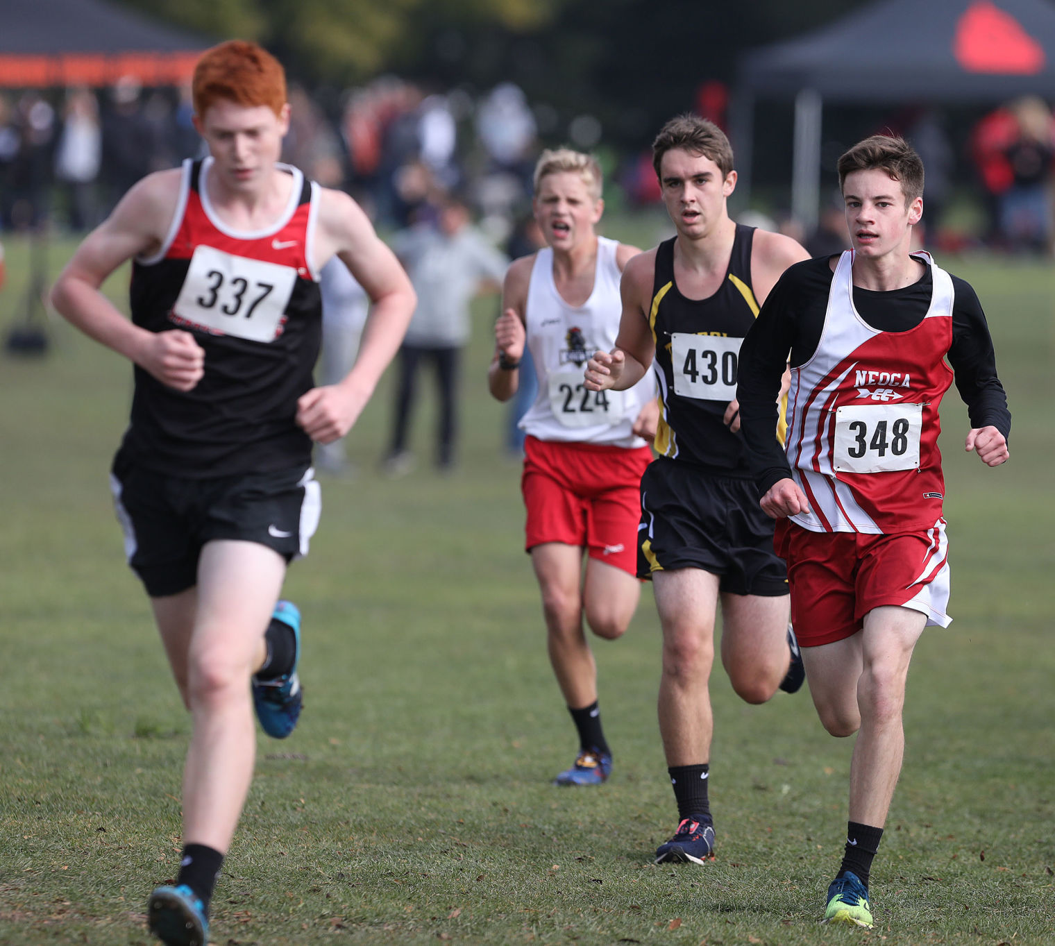 Class 1A boys cross country sectional 15 10.27.18.jpg
